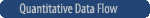 Quantitative Data Flow